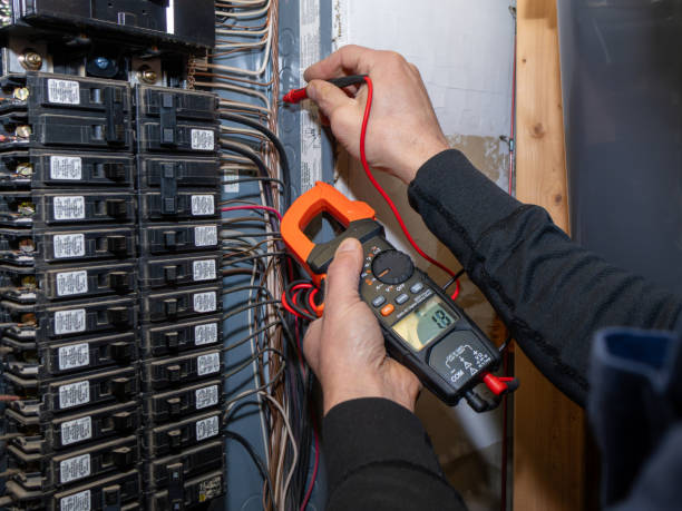 Best Home Electrical Repair  in Sparrow Bush, NY